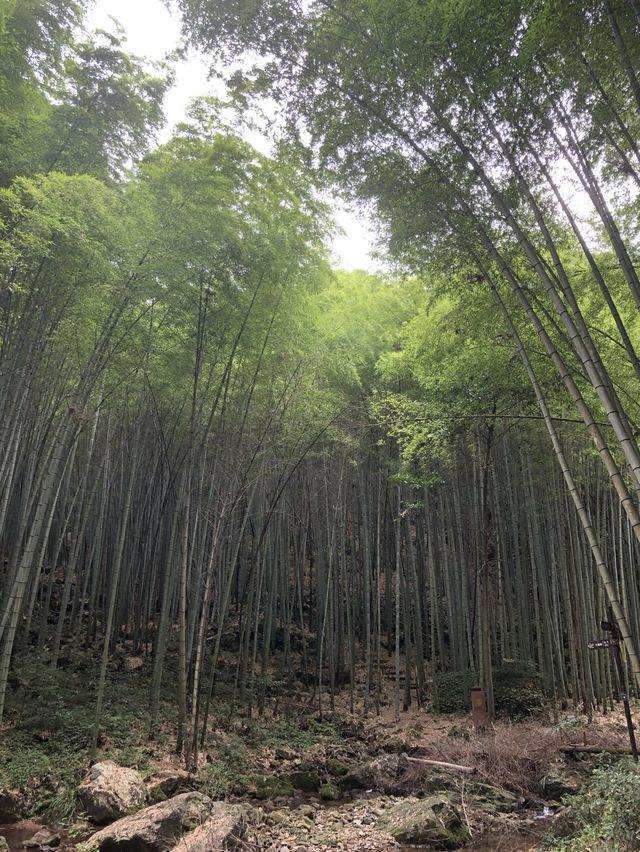 A small & relaxing Hike in Ningbo