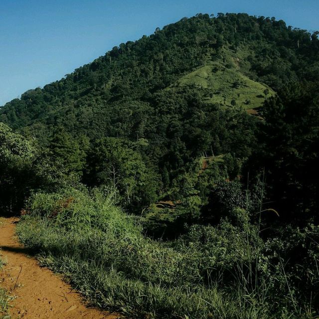 Taman Wisata Gunung Pancar