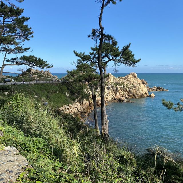 [울산] 대왕암공원🏔, 낮에는 아름다운 바다를, 밤엔 끝내주는 야경을