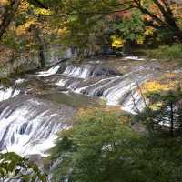 紅葉の袋田の滝