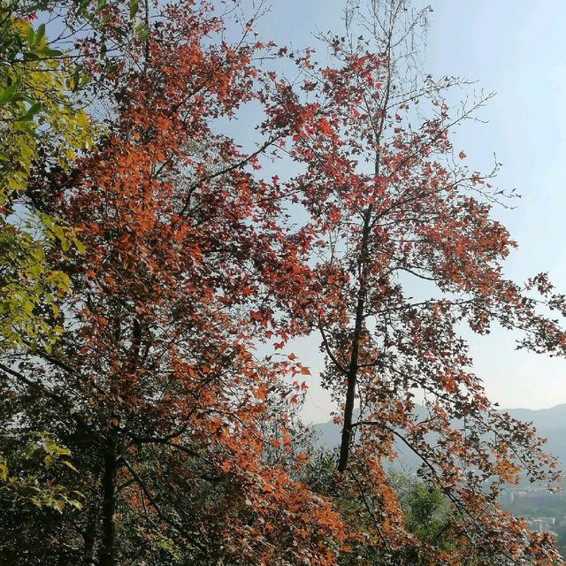 流水響至鶴藪鳳園山遊樂