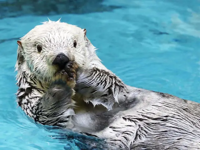 三重県【鳥羽水族館】