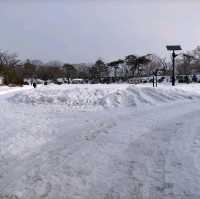 秋田県　千秋公園　雪景