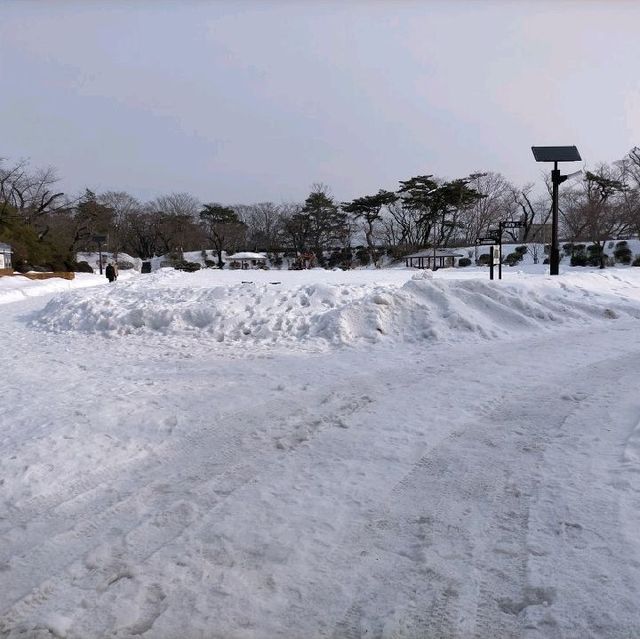 秋田県　千秋公園　雪景