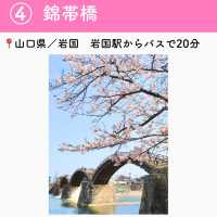この春行きたい！お花見スポット7選