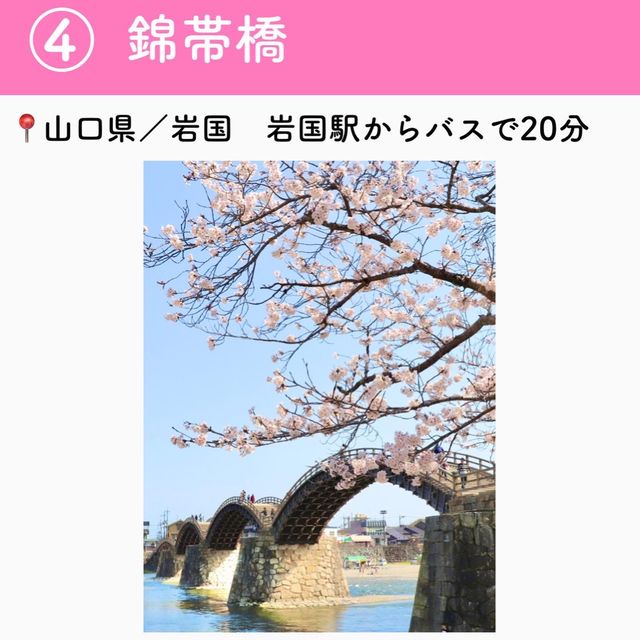 この春行きたい！お花見スポット7選