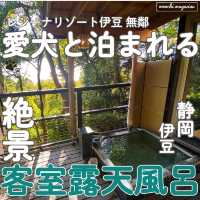 【ペットと泊まれる温泉宿】静岡・伊豆のレジーナリゾートに泊まってきた