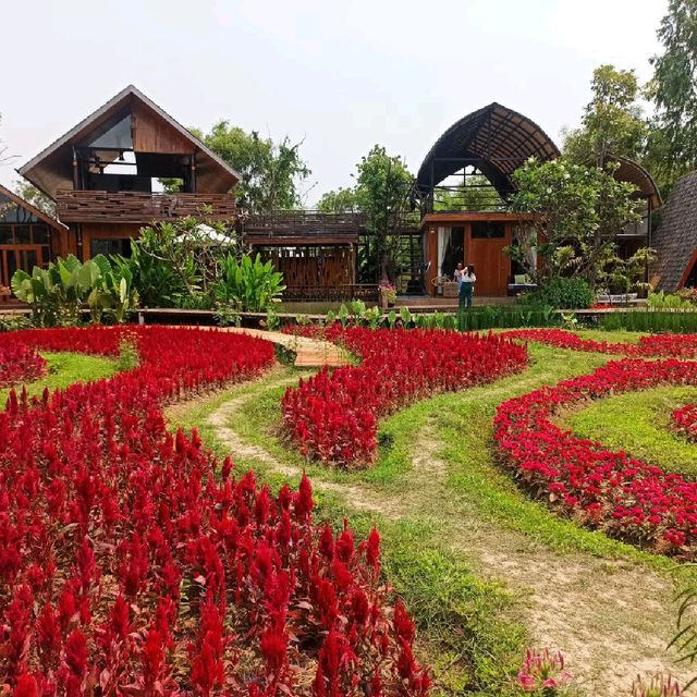สวนปลายตะวัน  