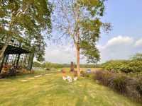 สวนของพ่อ Café in the garden