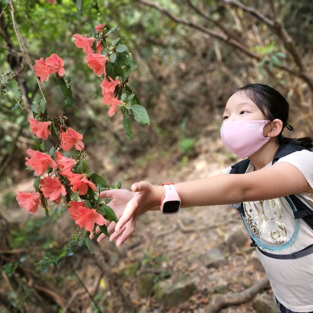 馬鞍山家樂徑