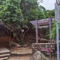 由鬧市幾分鐘行到鳥語花香的山林間