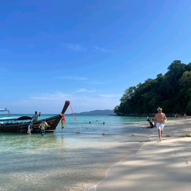 ไปตามหาต้นไผ่ ที่ เกาะไผ่ กัน