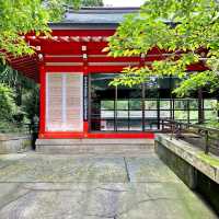 箱根神社の参道と武道場
