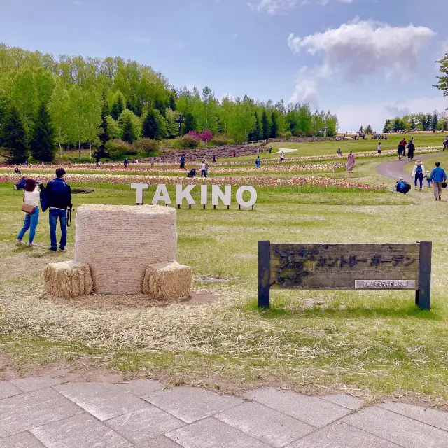 滝野すずらん丘陵公園②【カントリーガーデン】