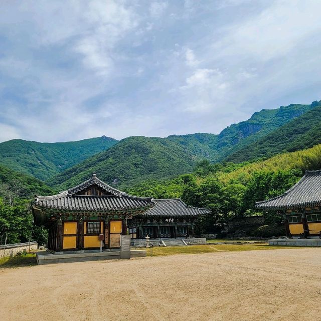 밀양여행 표충사