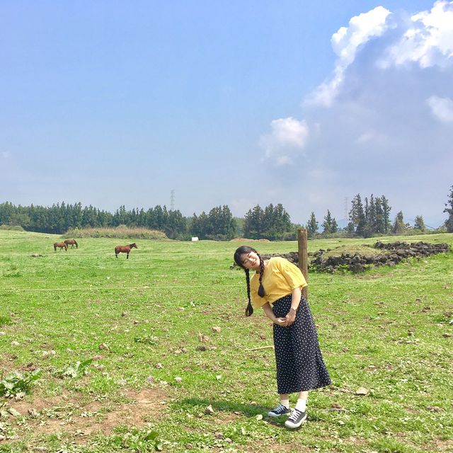 [제주도] 말들이 자유롭게 방목된 성이시돌 목장🐎