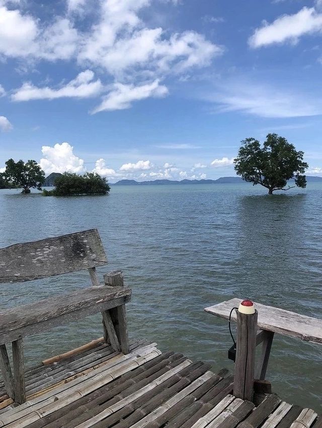 สะพานไม้ไผ่ อ่าวท่าเลน