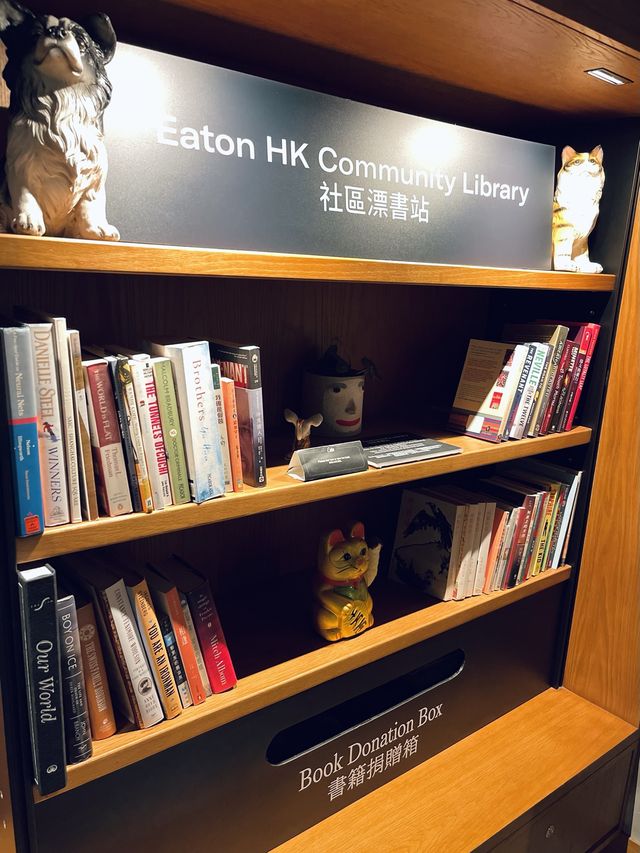 在香港的摩洛哥之旅🇲🇦🇭🇰 #greenstaycation 在香港的摩洛哥之旅🇲🇦🇭🇰 #greenstaycation