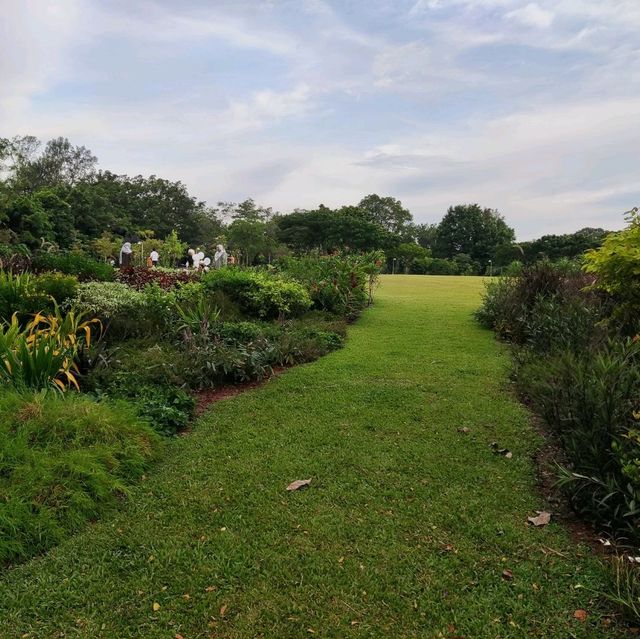 Jurong Lake Gardens