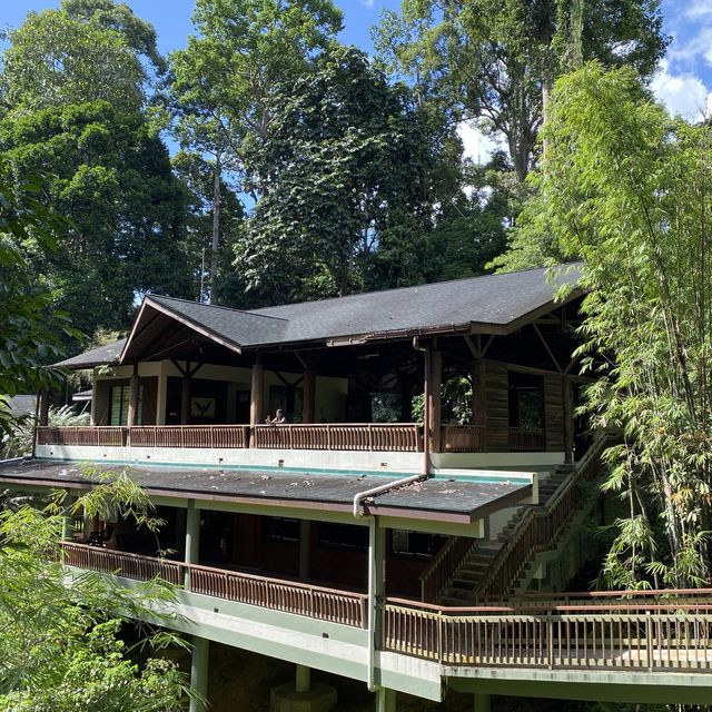 Sepilok Rainforest Discovery Centre 
