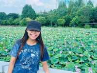 Deokjin Park Day View 