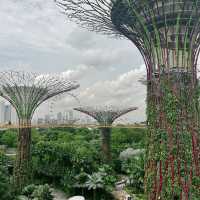 Gardens By The Bay - ป่าใหญ่ใจกลางเมือง