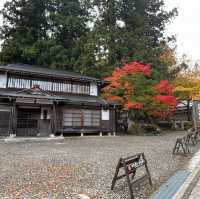 白川八幡神社 及 明善寺🍁🍁