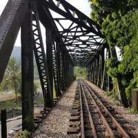 火車迷必到Rail Corridor@武吉知馬自然保護區