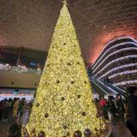 별마당 도서관의 크리스마스트리🎄 