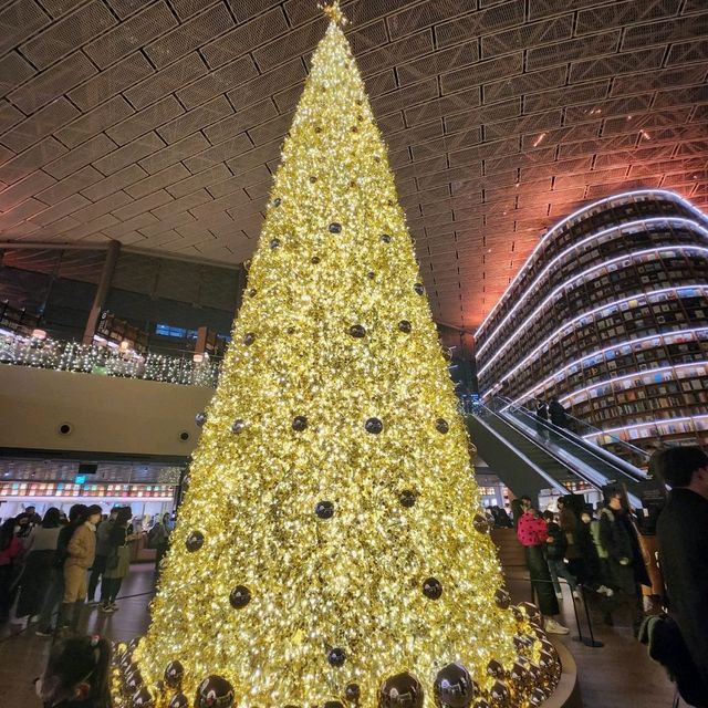 별마당 도서관의 크리스마스트리🎄 