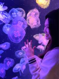香港打卡+親子餐廳🍀水母主題西餐廳