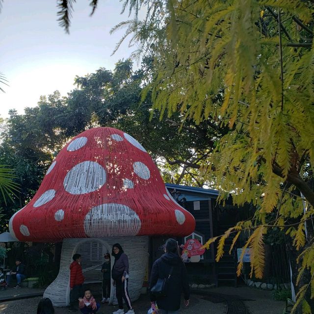 意猶未盡【台中北屯】紙箱王創意園區