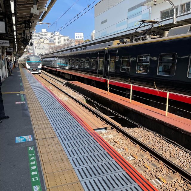 【一度は乗りたい観光列車】〜黒船電車編〜