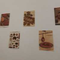 Misses.cafe@betong