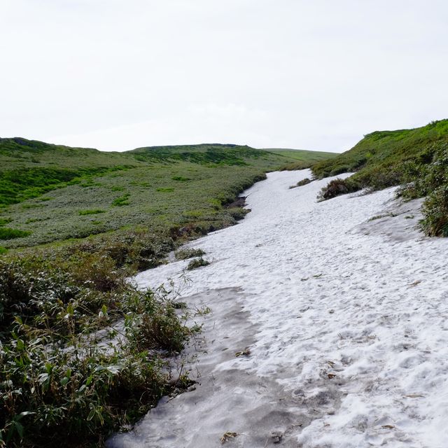 初夏の鳥海山道中