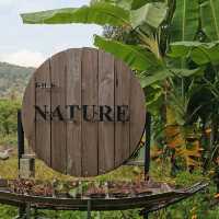 The Nature samui 