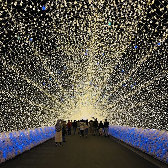 光の雲海