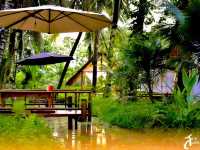 พร้าวหอมคาเฟ่ #คาเฟ่ในสวน