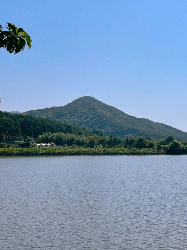 부산 봄맞이 여행명소 “금정 회동호 둘레길” 🌸