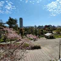 【兵庫 明石城跡展望台】最高の景色を見て✨✨✨