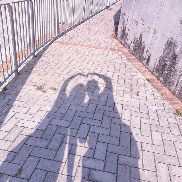 梅窩一日遊