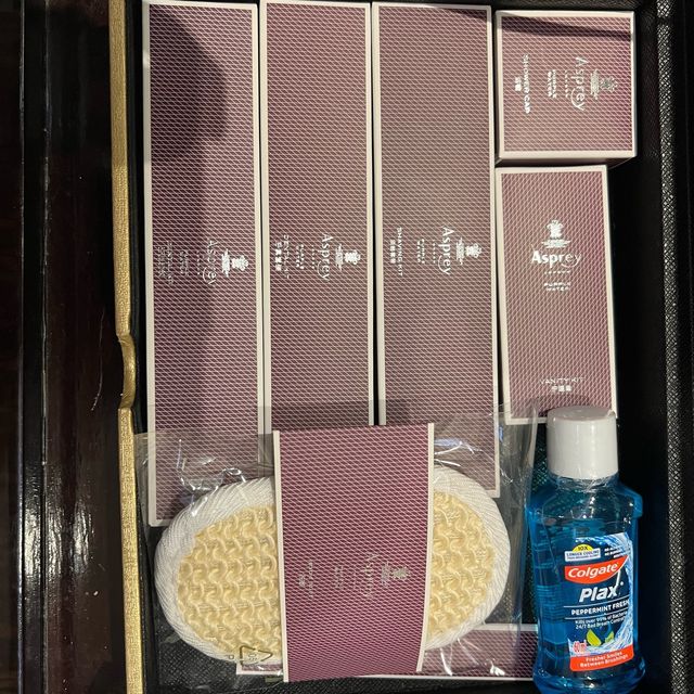 服務質素好好嘅酒店 Ritz Carlton