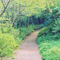 🌳 제주시내에서 가까운 숲캉스 명소, 한라수목원