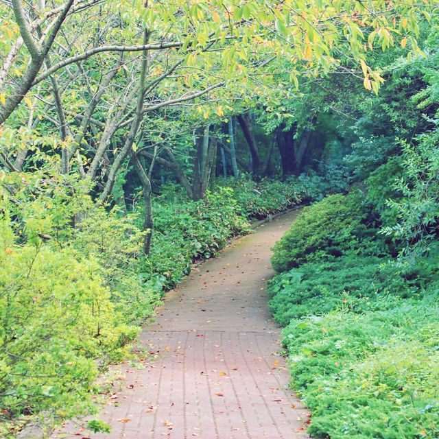 🌳 제주시내에서 가까운 숲캉스 명소, 한라수목원