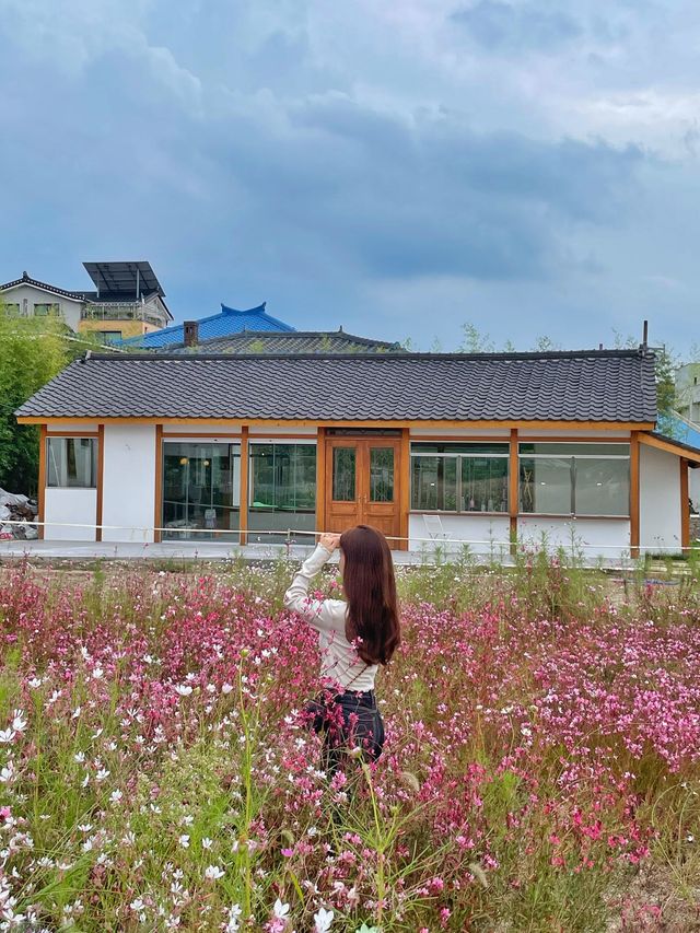 행궁동 속 작은 코스모스 밭 💐