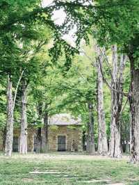群馬＊群馬県立館林美術館