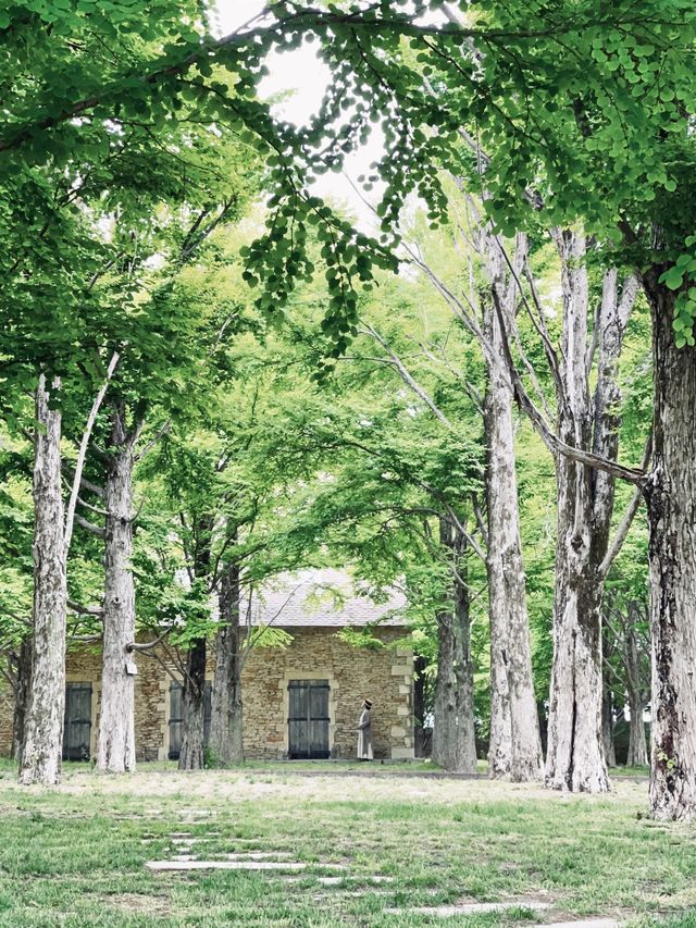群馬＊群馬県立館林美術館