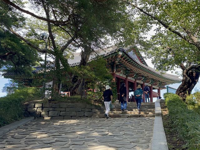 경포대에 누워서 휴식 즐기기🎶