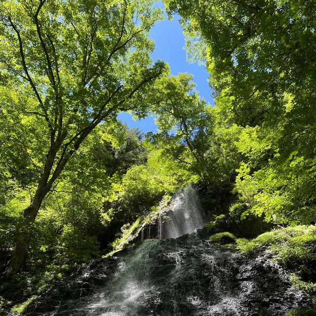 【長野県】大自然あふれる木曽福島町✨