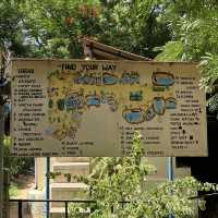 Fun with real crocodiles @ crocodile bank 